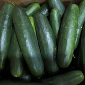 Cucumbers Recalled in 14 States for Possible Salmonella